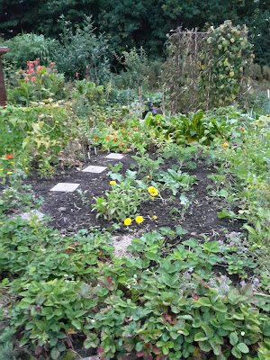 tuin in september 