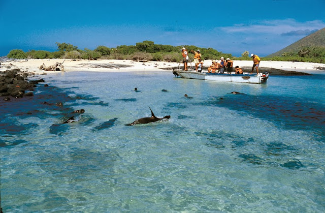 beach, galapagos, island, nature, sea, 