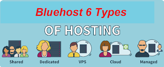 types of Bluehost Hosting Plan