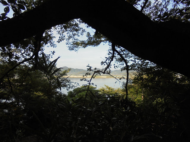 中海展望所からの眺め