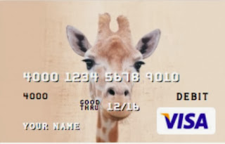 Visa prepaid cards from CARD.com