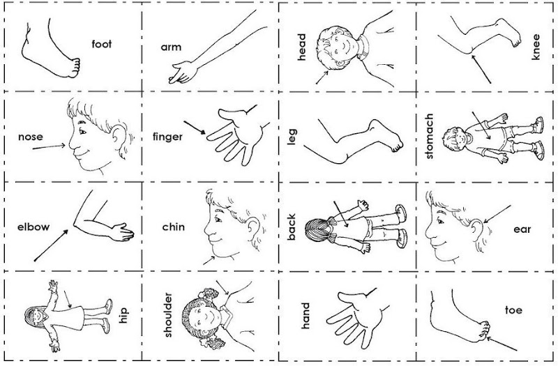 Esta ficha de inglés sirve para aprender las partes del cuerpo en  title=