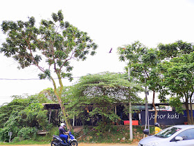Pondok-Ceri-Ayam-Penyet-Jalan-Kangkar-Tebrau-Johor-Bahru