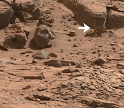 Petrified Termite Mound Found On Mars?