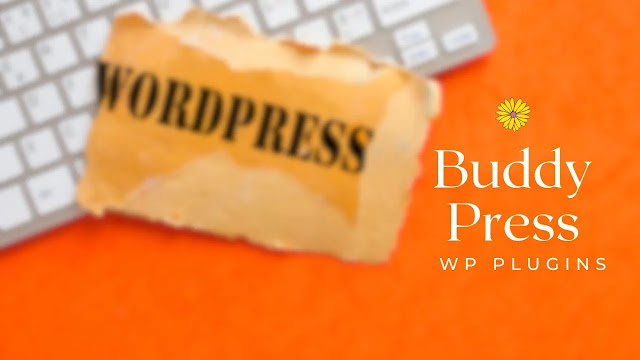 WP BuddyPress Plugins For Community Sites 2023, BuddyPress Good