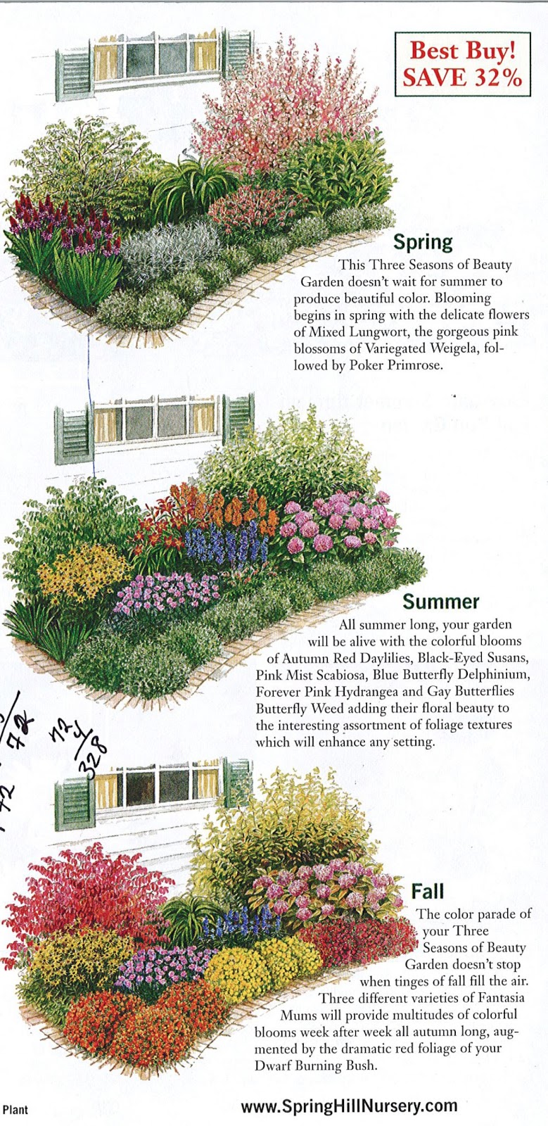GARDENING: Garden plan a week, Week 2, Three Seasons of Beauty