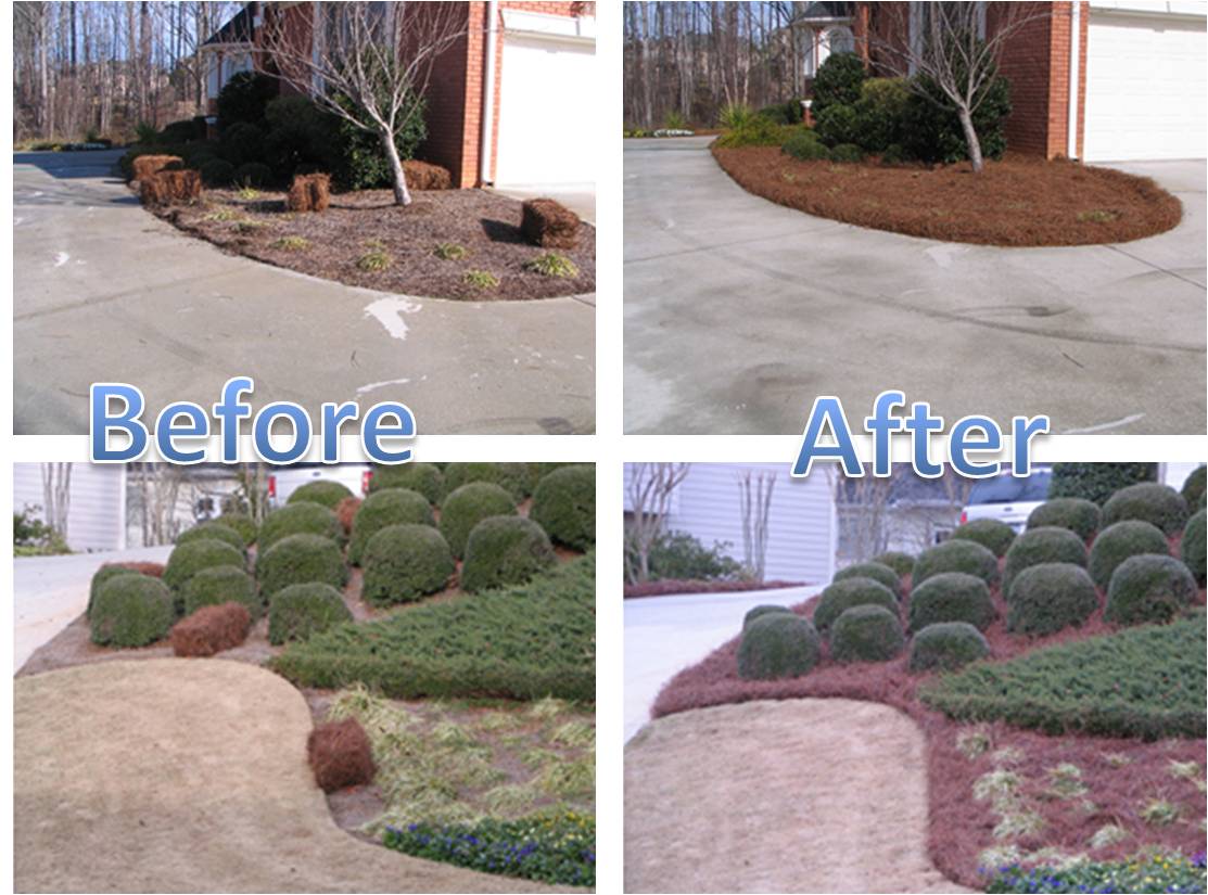 Landscaping Fayetteville Ga