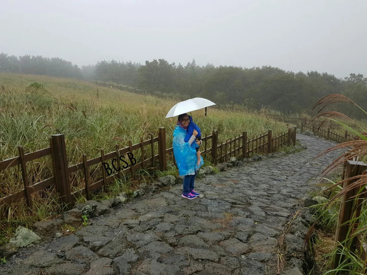 Pengalaman Melawat Sangumburi Crater Jeju Island