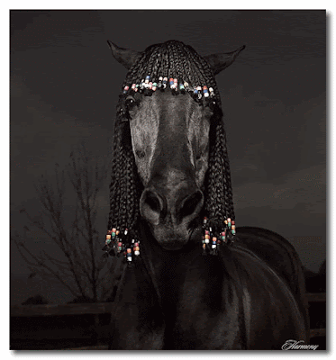 horses hair styles Julian Wolkenstein