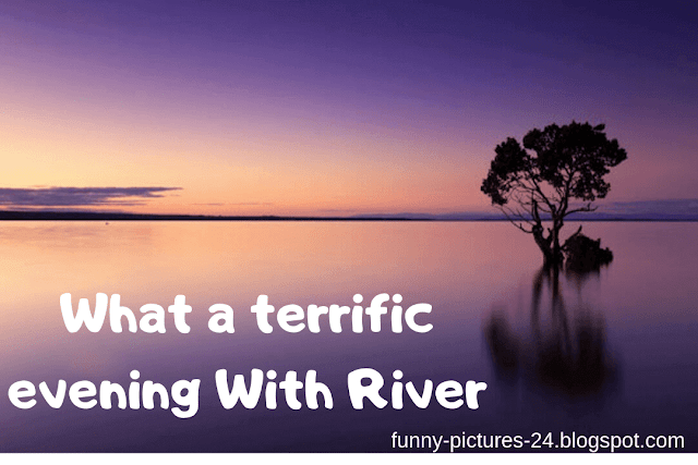 FUNNY IMAGES Long Adventures -  Treffic River