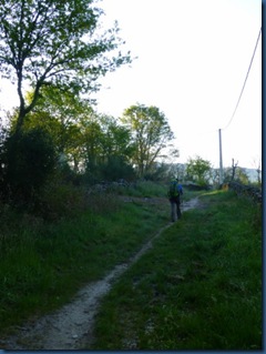 P1030641