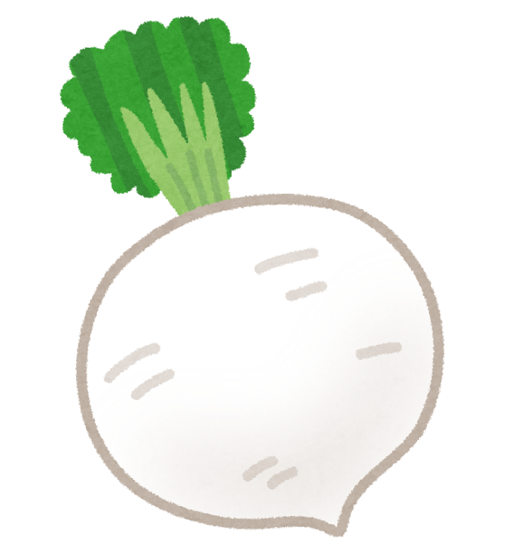 聖護院大根のイラスト 京野菜 かわいいフリー素材集 いらすとや