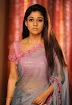 Actress Nayanthara Best HD Photo Gallery