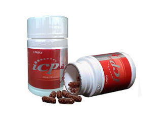 Obat Herbal ICP Capsule Tradisional 