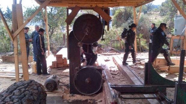 Estados/ Cierran aserraderos en Michoacán y aseguran madera en Yucatán 