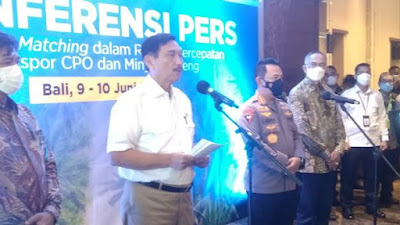 Perusahaan Migor yang Main-main Diserahkan ke BPKP, Luhut: Masa Barangnya di Sini Kantornya di Luar Negeri