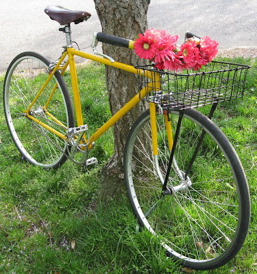 Yellow bike, pink flowers