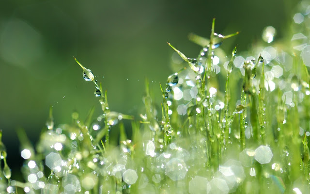 Gotas de Agua - Waterdrops