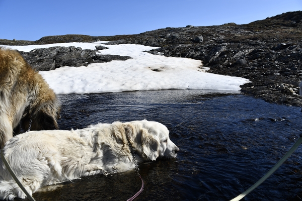 geiteryggen aurlandsfjellet riksvei 50