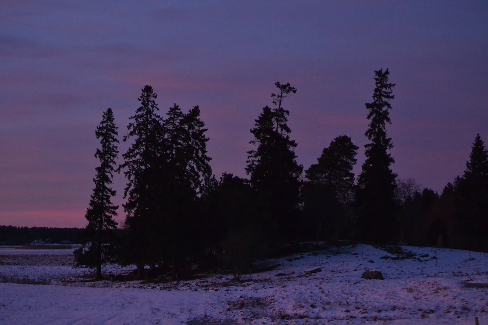 Violett skymning i Mietois, 2016