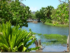 P1000028