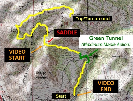 CCF Map