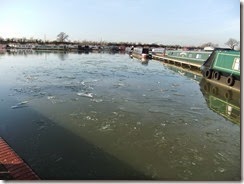 DSCF6599