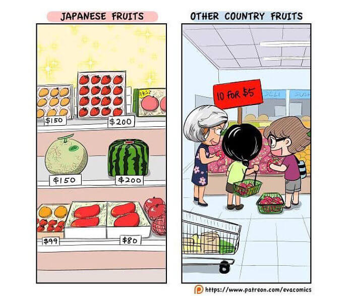 30 Funny Comics That Depict The Cultural Differences Between Japan And The Rest Of The World