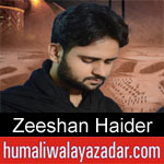 https://www.humaliwalayazadar.com/2015/07/zeeshan-haider-nohay-2006-to-2016.html