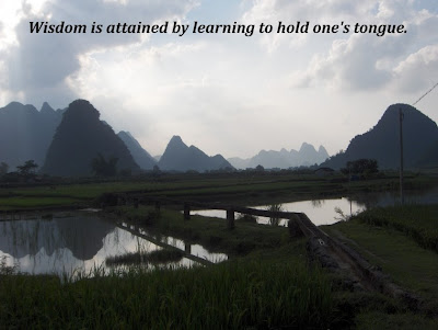 Wisdom is attained by learning to hold one's tongue