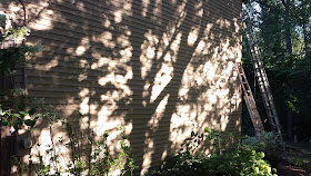 shadow play on the wall of the house, ladders to fix the corner board where the woodpeckers have attacked