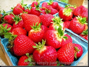 StrawberryFarm3