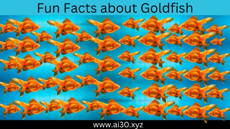 Fun Facts about Goldfish
