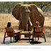 Last Minute Offer Zambia 2013