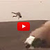 شاب سعودي يطير في الجو بعد انقلاب سيارته أثناء محاولة "تفحيط" ! شاهد الفيديو الخطير !