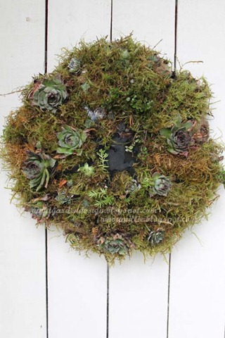 wall garden