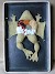 Knitted Dissection: Biology Meets Art