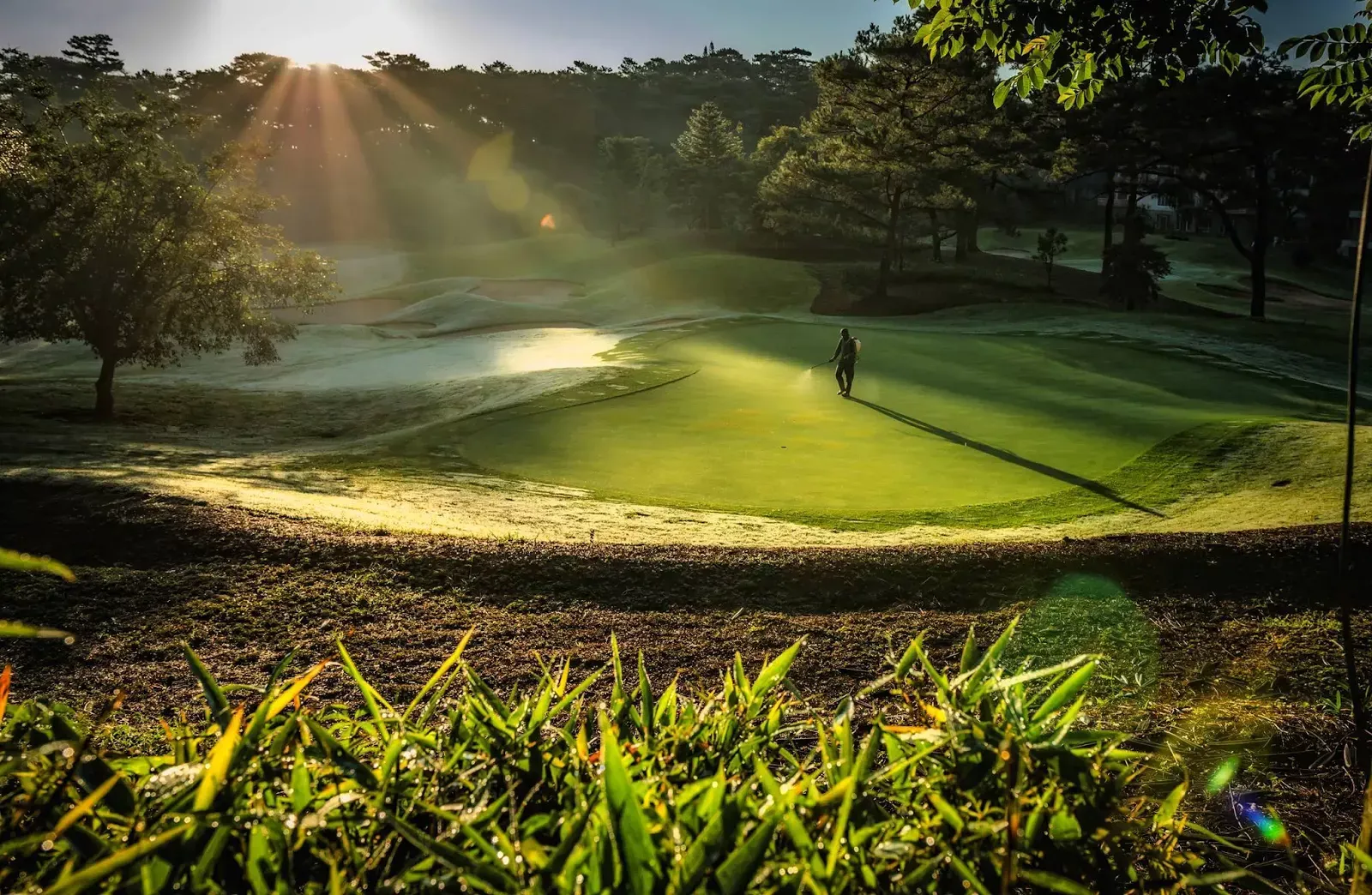 One Morning Baguio City Private Golf Course Cordillera Administrative Region Philippines