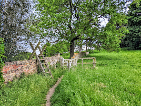 Sacombe footpath 18 heading NNE