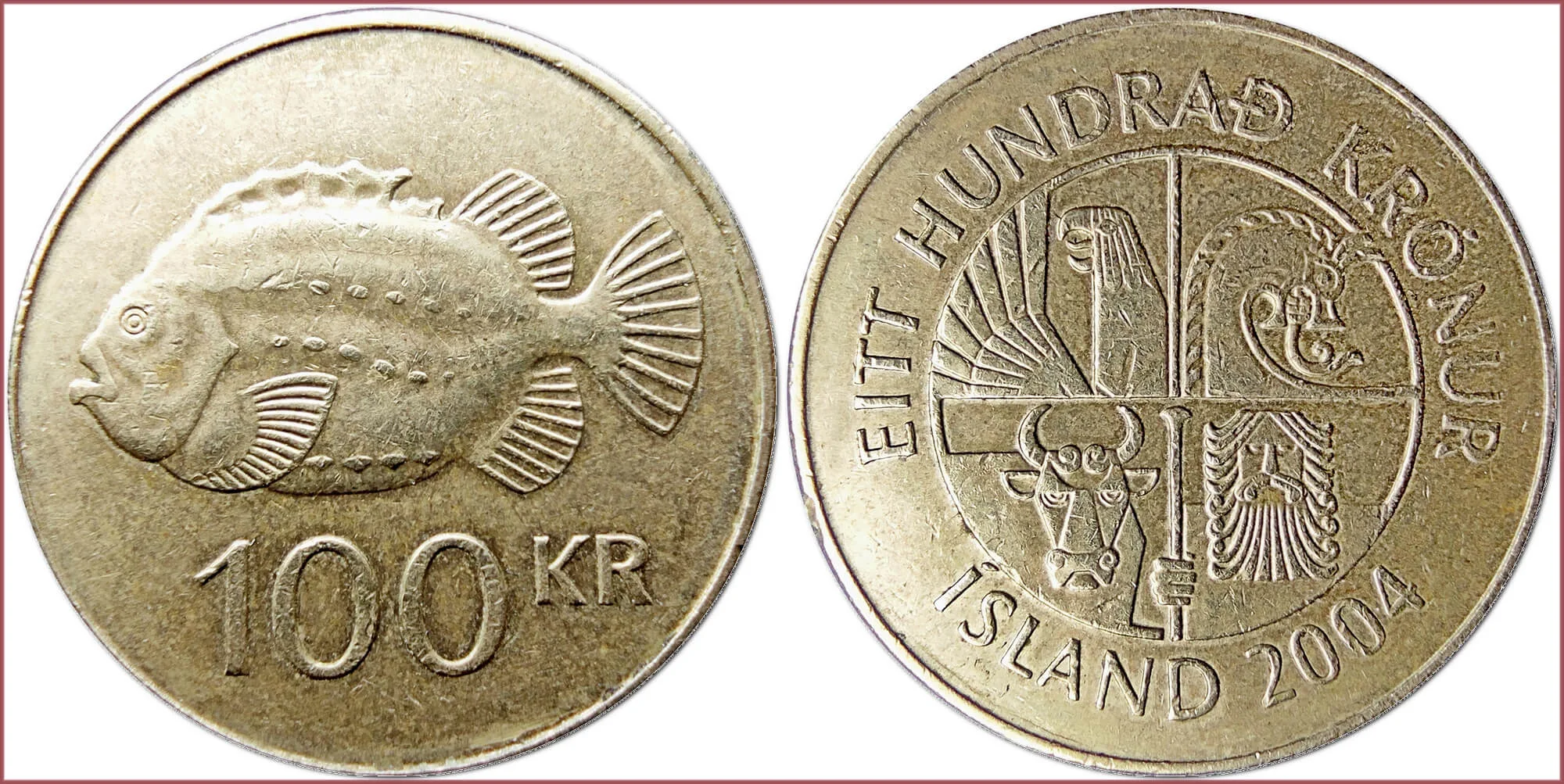 100 krónur, 2004: Iceland