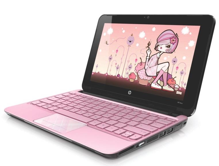 Pink Netbook