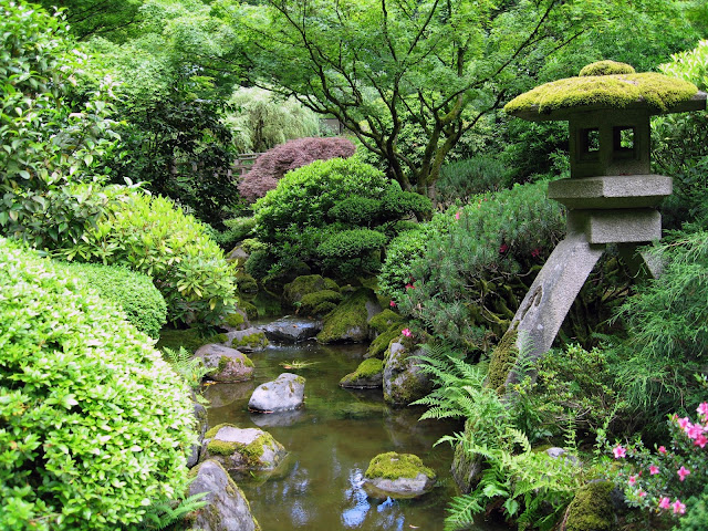 Japanese Beautiful Garden