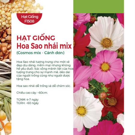 Hạt giống Hoa sao nhái đơn mix 215AQ