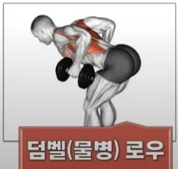 덤벨로우 운동 효과 부위, 운동 방법, 초보 운동 버전