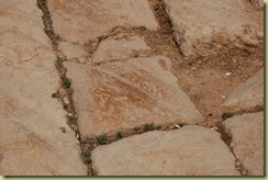 Chariot Ruts