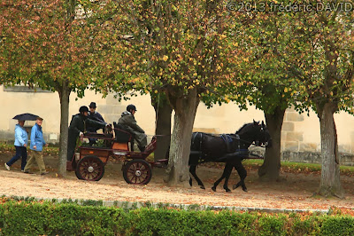 automne chasseurs Saint-Hubert trompes attelages jardins château Fontainebleau Seine-et-Marne