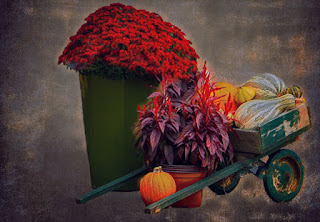 decorative fall wheelbarrow and flowers