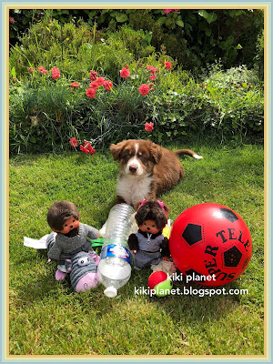 kiki monchhichi toys berger australien, australian shepherd, chiot, chien, puppy