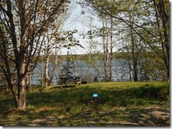 DSCF0433