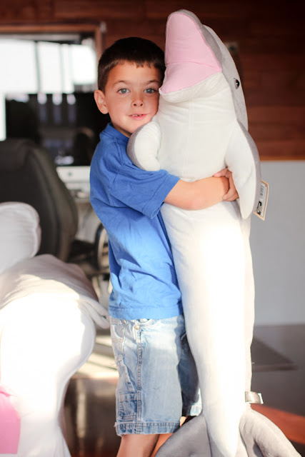 Cooper's birthday, huge stuffed animal dolphin